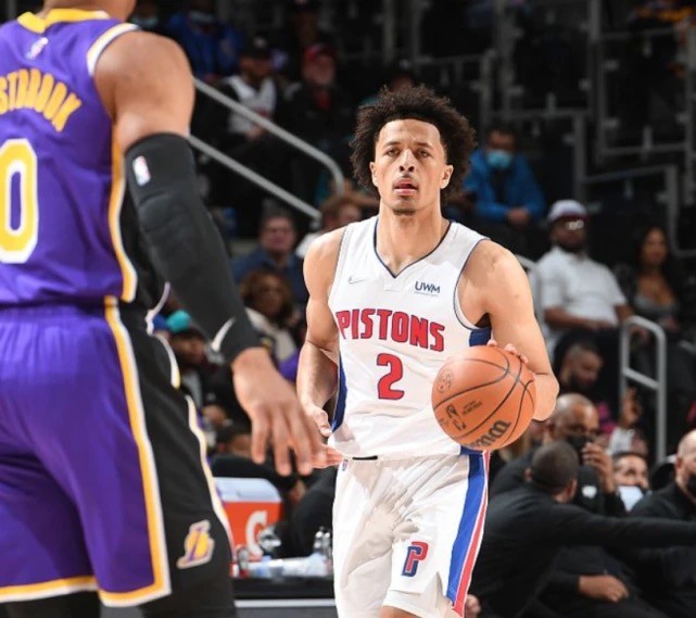 不屈不挠的 不屈不挠的